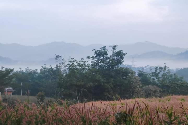 ภูริรักษ์ โฮมสเตย์ Ban Pha Saeng Lang Zewnętrze zdjęcie